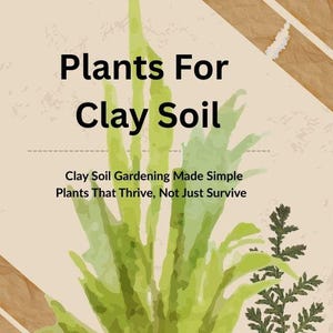May include: An ebook cover titled "Plants For Clay Soil" with green plant illustrations. The cover includes the text "Clay Soil Gardening Made Simple" and "Plants That Thrive, Not Just Survive". The author is Alison Harwood, a Qualified Horticulturalist.