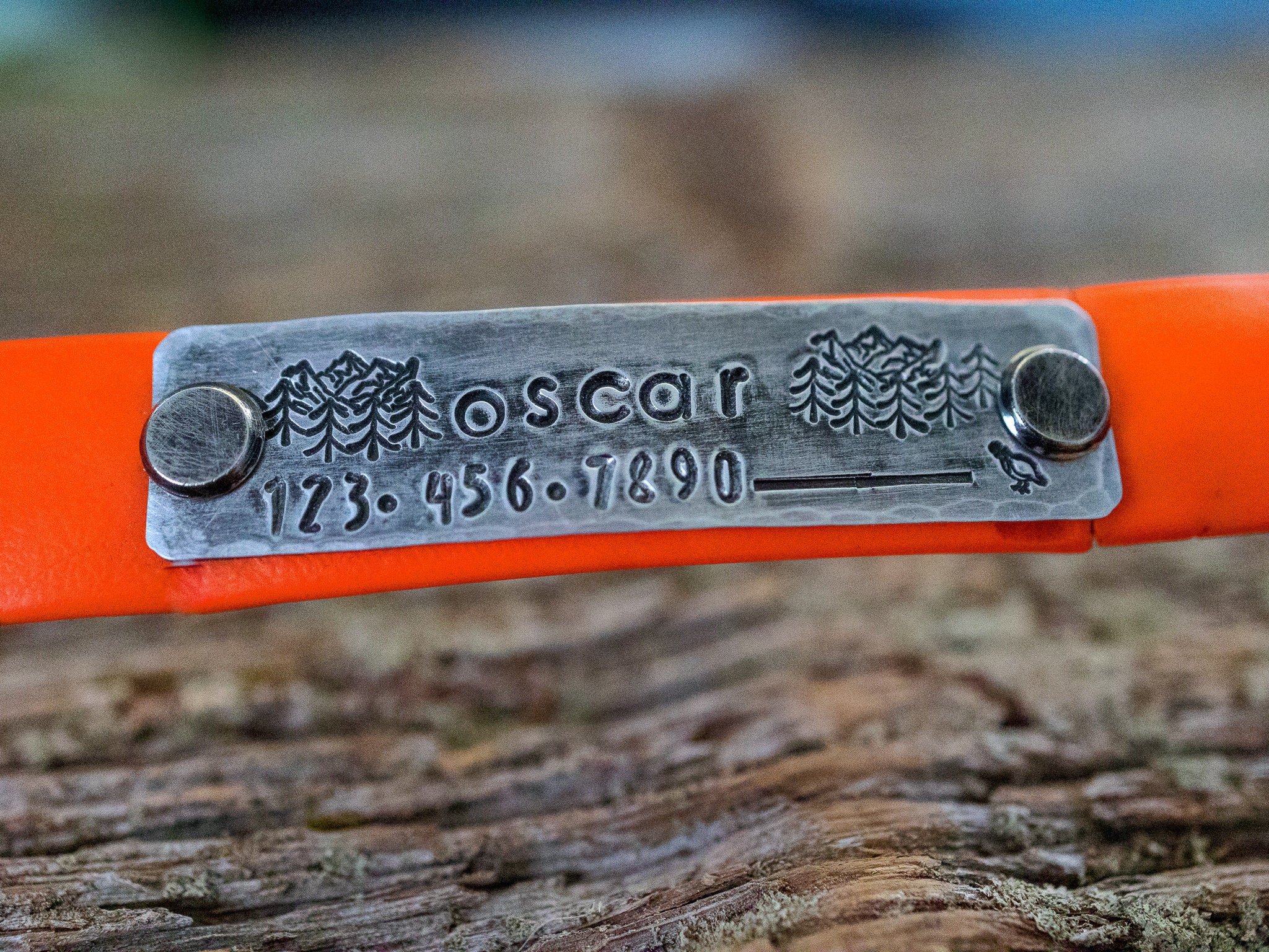 Dog Collar Name Plate Personalized ID Hunting Dogs Etsy