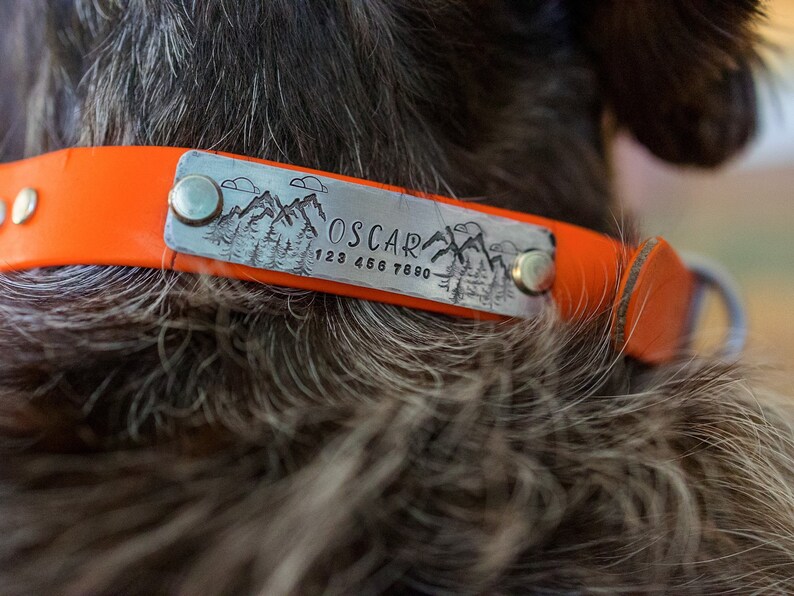 Rivet Nameplate for Dog Collar ID Plate for Dog Collar Etsy Canada