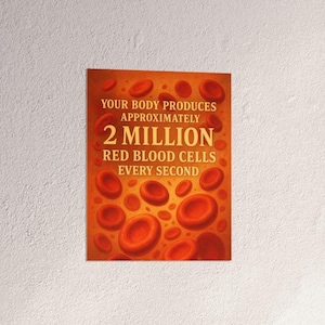 Poster di scienze del corpo umano, curiosità sui globuli rossi, arte murale di biologia, decorazione per aula di anatomia, regalo per studenti di medicina, stampa per ufficio medico, insegnante