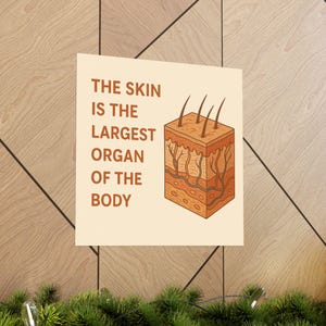 Skin Anatomy Poster Largest Organ Funny Wall Art Educational Science Print Dermatology Decor Biology Teacher Gift Nerd Medical Student Chart