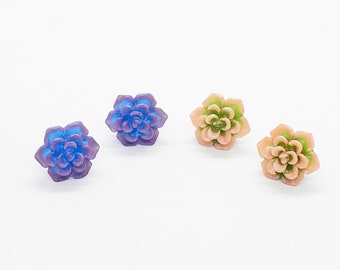 Two Tone Succulent Stud Earrings, Blue and Purple Succelents, Gift for Plant Lovers, Pink and Green Succulents