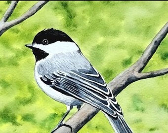 Chickadee Art Print Bird from original watercolor with mat size 8x10