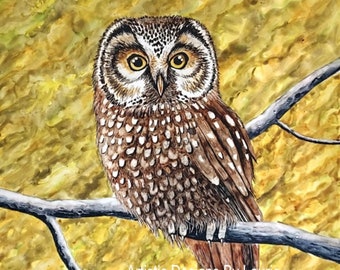 Owl art print, watercolor print of owl on tree