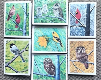 Watercolor Bird Note Cards, set of 7,  owls, cardinals, chickadee, goldfinch, blank inside with envelopes