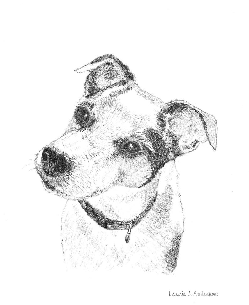 8x10 Pet Portrait Sketch Original Custom Graphite Pencil Art Drawing image 2