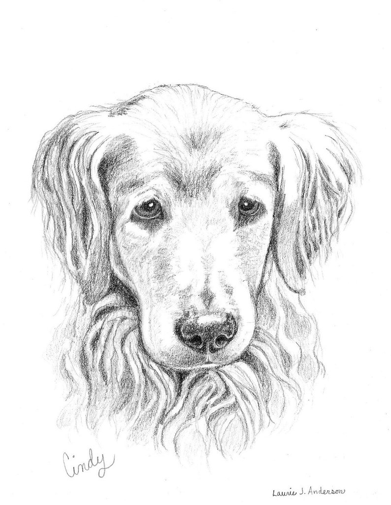 8x10 Pet Portrait Sketch Original Custom Graphite Pencil Art Drawing image 5