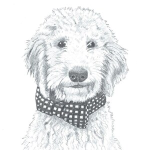 Pet Portrait Sketch Original Custom Graphite Pencil Drawing 11x14 with mat