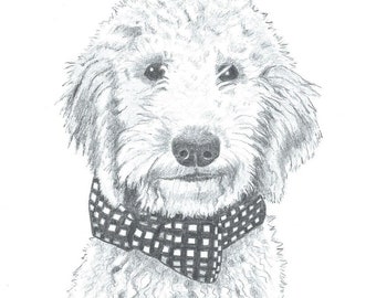 11x14 Pet Portrait Sketch Original Custom Graphite Pencil Drawing