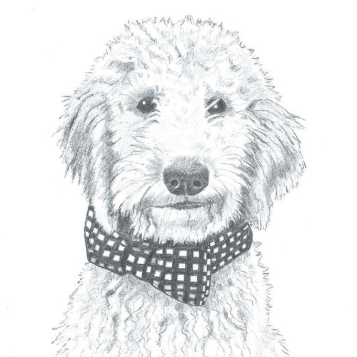 11x14 top Pet Portrait Sketch Original Custom Graphite Pencil Drawing