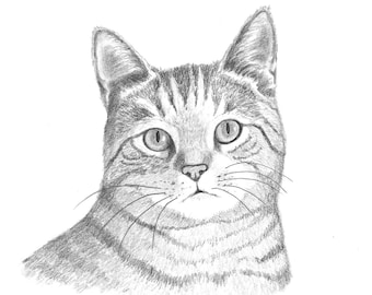 8x10 Pet Portrait Sketch Original Custom Graphite Pencil Art Drawing