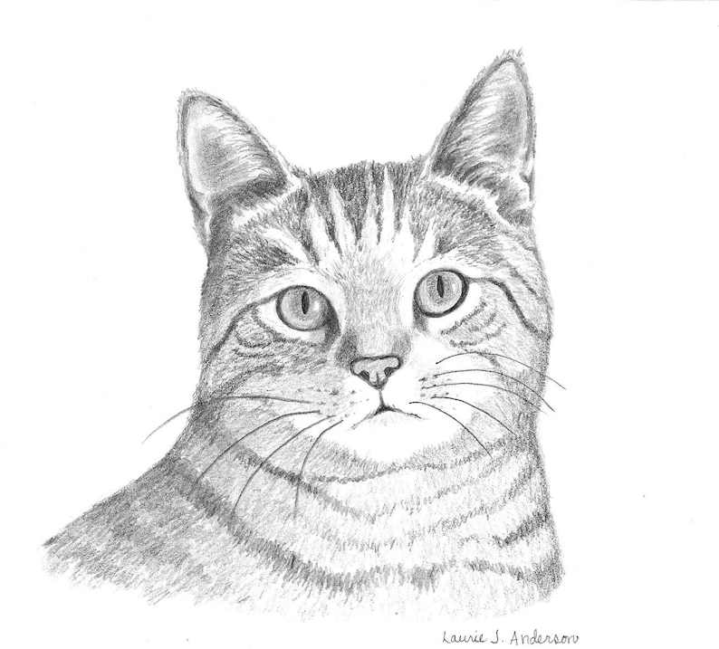 8x10 Pet Portrait Sketch Original Custom Graphite Pencil Art Drawing image 1