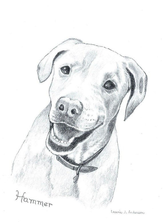 Pet Portrait Sketch Original Pencil Drawing Custom Art Home Decor 11x14