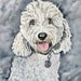 see more listings in the Pet Portraits section