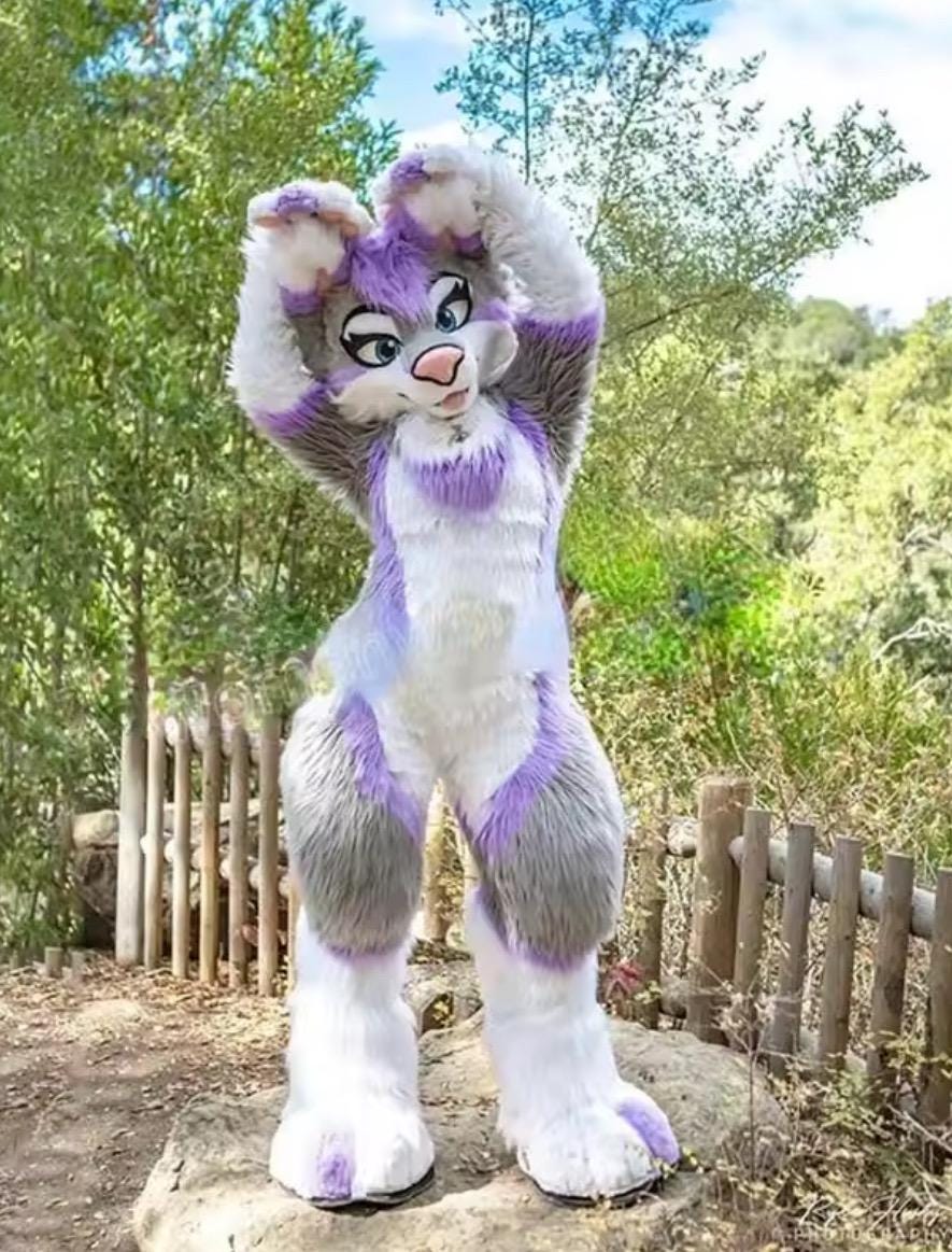 Fursuit Furry Suit Furry Costume! Pink Blue White Purple Brown Black