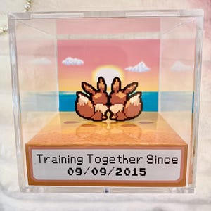 Op de afbeelding: Een heldere acryl displaybox met een gepixeld beeld van twee vosachtige wezens in bruin en wit. De achtergrond toont een zonsondergang boven de zee. De basis heeft de tekst "Training Together Since 09/09/2015".