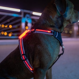 Led pet harness hotsell