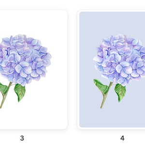 Blue Hydrangeas Botanical Artwork - Digital
