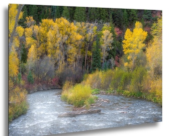 Fall Colors Along the Frying Pan River in Basalt, Colorado