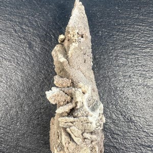 Thinolite Tufa ~ Pseudomorph Calcite After Ikaite aka Glendonite ~ Rare Locality: Pyramid Lake, Washoe Co., Nevada ~ 30.3g ~ Robert Werner ~