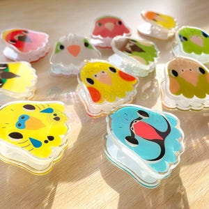 May include: A collection of colorful, cartoon bird-shaped clips. The clips are made of clear plastic with a variety of colors and designs, including yellow, blue, green, red, and white. The clips are perfect for holding papers, photos, or other items.