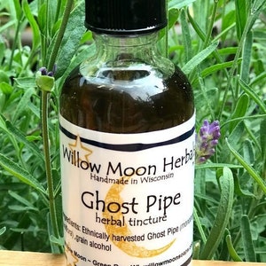 Ghost Pipe Tincture  Monotropa Uniflora  2 ounce w flower in bottle, Indian Pipe ~ Willow Moon
