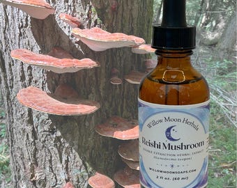 Reishi Mushroom Extract, Ganoderma lucidum Tincture, Small Batch Wildcrafted