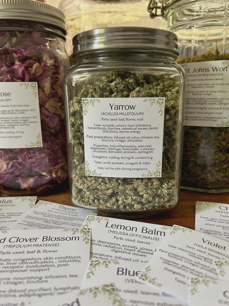 Herbal Apothecary Jar Labels: 117 Herbs, Mushrooms, Resins. Properties ...