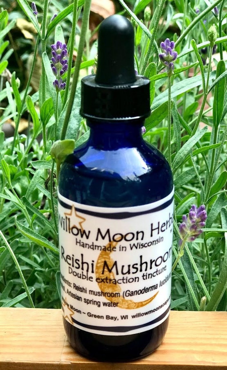 May include: A blue glass bottle with a dropper top, labelled "Willow Moon Herbs" and "Reishi Mushroom Double Extraction Tincture". The bottle is sitting on a wooden surface with green plants in the background.