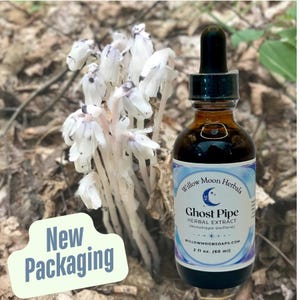 Wildcrafted Ghost Pipe Tincture | Fresh Plant Extract | Monotropa uniflora