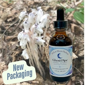 Ghost Pipe Tincture  Monotropa Uniflora, flower in bottle, Indian pipe   ~Willow Moon