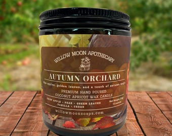 Fresh Apple Candle, Autumn Orchard, Macintosh Apple and Cedarwood, Cozy Fall Scent