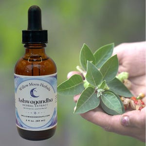 Ashwagandha Tincture, Withania somnifera Herbal Extract, Liquid Botanical Tincture