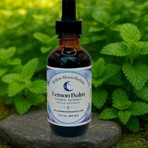 May include: A brown glass bottle with a black dropper, labeled "Lemon Balm Herbal Extract" from Willow Moon Herbals. The label is white and blue with a crescent moon design. The bottle contains a dark liquid and is set against a backdrop of green foliage. The bottle contains 2 fl oz.