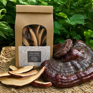 May include: A brown paper bag with a clear window containing dried, sliced reishi mushrooms. The label reads Wild Reishi Ganoderma lucidum. Next to the bag are several dried mushroom slices and a large, whole, dark reddish-brown reishi mushroom.