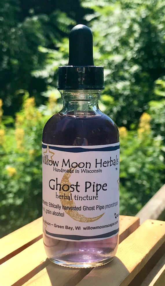 Ghost Pipe Tincture Monotropa Uniflora Flower in Bottle Etsy