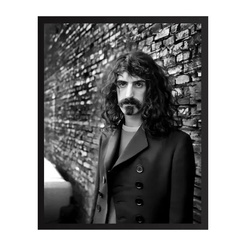 Frank zappa poster - Etsy 日本