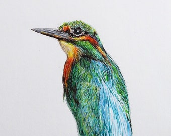 Kingfisher original art - pen and ink with colored pencil 7x5 inches free shipping