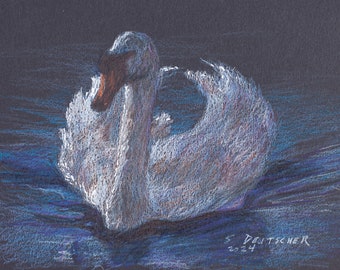 Swan pen and ink with colored pencil 5x7 inches original art