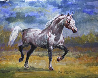 Gray Arabian Stallion running in the desert after a storm