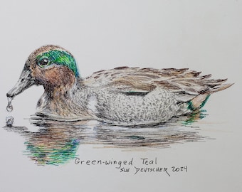 Duck pen and ink with colored pencil 5x7 inches original art