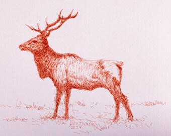 Elk pen and ink with colored pencil 5x7 inches original art