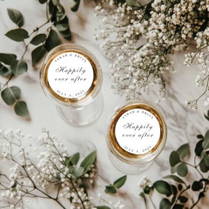 Edible Cocktail Toppers – Personalized Wedding Drink Decorations, Custom Party Favors in 5 Designs
