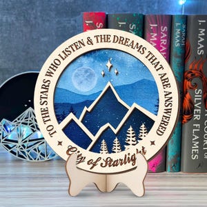 City of Starlight Bookshelf Sign, The Stars Who Listen, Acotar Wooden Shelf, Night Court aesthetic, Spicy booktok Sign, smut reader,