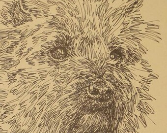 Cairn Terrier Rainbow Bridge - Personalized by renowned dog artist Kline adding any number of your dogs' names into his language art.