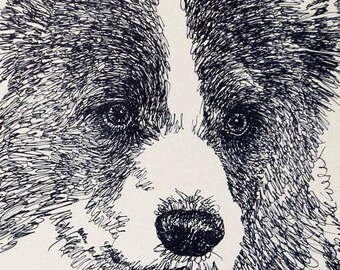 Border Collie Rainbow Bridge - Personalized by renowned dog artist Kline adding any number of your dogs' names into his language art.