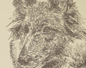 Belgian Tervuren Rainbow Bridge - Personalized by renowned dog artist Kline adding any number of your dogs' names into his language art.