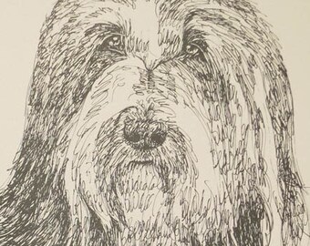 Bearded Collie Rainbow Bridge - Personalized by renowned dog artist Kline adding any number of your dogs' names into his language art.
