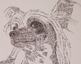 Chinese Crested Dog art portrait drawing from words. Your dog's name added into art FREE. Great gift. Signed Kline 11X17 Lithograph 19/500.