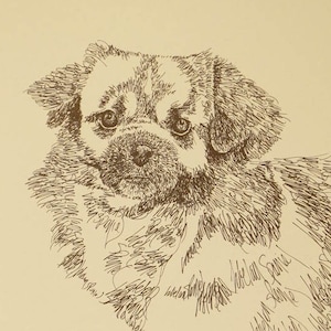 Tibetan Spaniel dog art portrait drawing from words. Your dog&#39;s name added into art FREE. Great gift. Signed Kline 11X17 Lithograph 63/500.